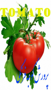 اسکرین شات برنامه پرورش گوجه فرنگی 1