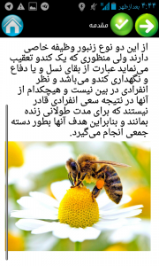 اسکرین شات برنامه پرورش زنبور عسل 1