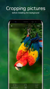 اسکرین شات برنامه Parrot Wallpapers 4K 3