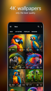 اسکرین شات 2 برنامه Parrot Wallpapers 4K