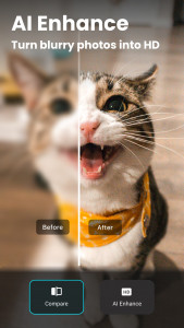 اسکرین شات 6 برنامه AI Photo Editor - Lumii