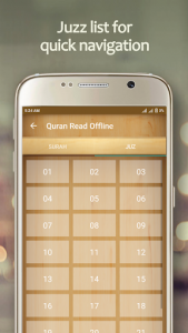 اسکرین شات برنامه Quran Offline - 13 Line Urdu Quran 4