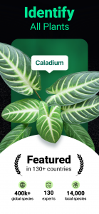 اسکرین شات برنامه Plantum - Plant Identifier 1