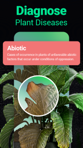 اسکرین شات 2 برنامه Plantum - Plant Identifier