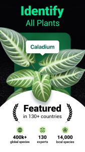 اسکرین شات 1 برنامه Plantum - Plant Identifier