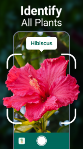 اسکرین شات 1 برنامه Plantum - Plant Identifier