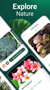 اسکرین شات 5 برنامه Plantum - Plant Identifier