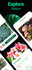 اسکرین شات برنامه Plantum - Plant Identifier 4