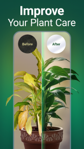 اسکرین شات 3 برنامه Plantum - Plant Identifier