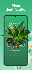 اسکرین شات 1 برنامه LeafSnap Plant Identification