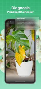 اسکرین شات 3 برنامه LeafSnap Plant Identification