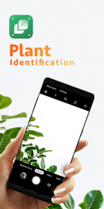 اسکرین شات برنامه LeafSnap - Plant Identification 1