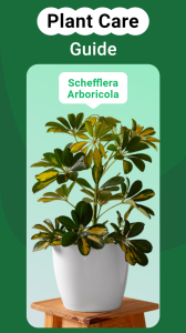 اسکرین شات 3 برنامه PlantGro: AI Plant Identifier