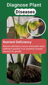 اسکرین شات 2 برنامه PlantGro: AI Plant Identifier