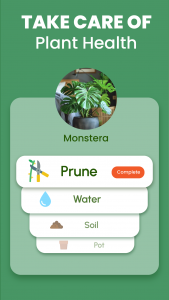 اسکرین شات 3 برنامه Florify: AI Plant Identifier