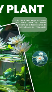 اسکرین شات 2 برنامه Florify: AI Plant Identifier