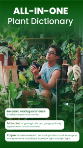 اسکرین شات 7 برنامه Florify: AI Plant Identifier