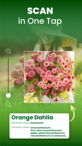 اسکرین شات برنامه Florify: AI Plant Identifier 5