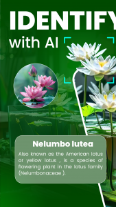 اسکرین شات 1 برنامه Florify: AI Plant Identifier