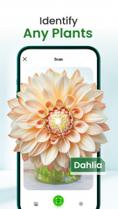 اسکرین شات برنامه Florify: AI Plant Identifier 1