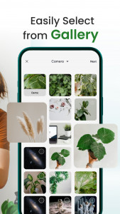 اسکرین شات برنامه Florify: AI Plant Identifier 5