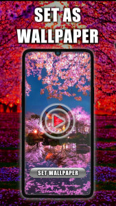 اسکرین شات 1 برنامه Cherry Blossom Live Wallpaper