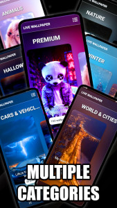 اسکرین شات 4 برنامه Koi Pond Live Wallpaper