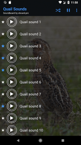 اسکرین شات برنامه Quail Sounds ~ Sboard.pro 2