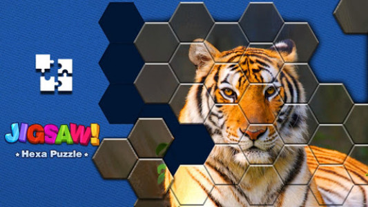اسکرین شات بازی Jigsaw Puzzle - Hexa Block Puzzle 1