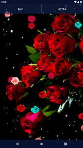 اسکرین شات برنامه Red Rose 4K Live Wallpaper 8