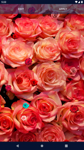 اسکرین شات 4 برنامه Red Rose 4K Live Wallpaper