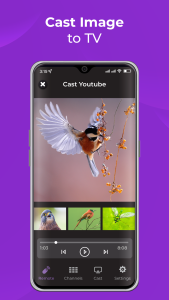 اسکرین شات 7 برنامه Remote Control for RokuTV