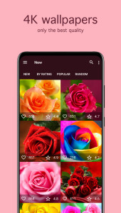 اسکرین شات 2 برنامه Rose Wallpapers 4K