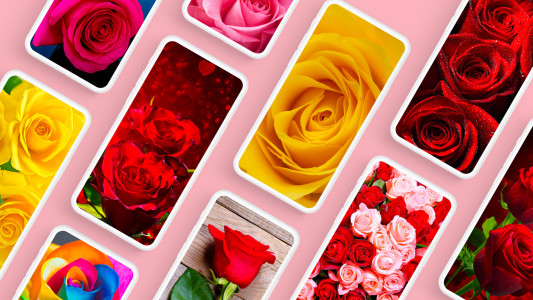 اسکرین شات 1 برنامه Rose Wallpapers 4K