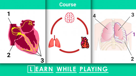 اسکرین شات 6 بازی Doctor 911 Hospital Simulator