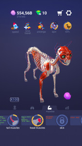 اسکرین شات 1 بازی Idle Pet - Create cell by cell