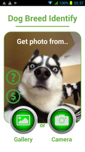 اسکرین شات برنامه Dog Breed Auto Identify Photo 1