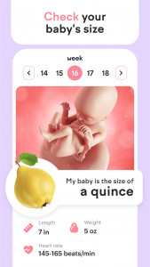 اسکرین شات 4 برنامه Pregnancy Tracker: amma