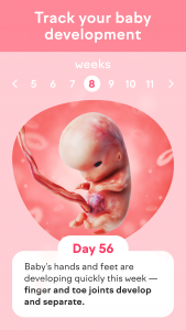 اسکرین شات 1 برنامه Pregnancy Tracker: amma