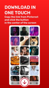 اسکرین شات 2 برنامه Pinterest Video Downloader