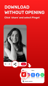 اسکرین شات 3 برنامه Pinterest Video Downloader