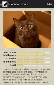 اسکرین شات برنامه Cat Breeds 3