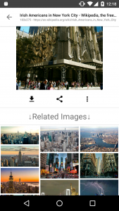 اسکرین شات برنامه ImageSearchMan - Image Search 5