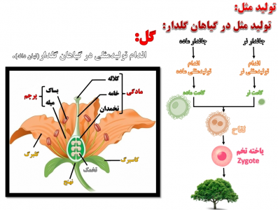 اسکرین شات برنامه علوم تجربی هشتم فصل 8 2