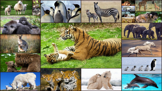 اسکرین شات 1 بازی Baby Animal Jigsaw Puzzles