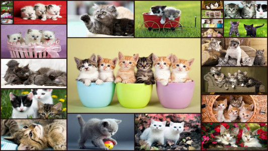 اسکرین شات بازی Cats Jigsaw Puzzle Game Kids 1