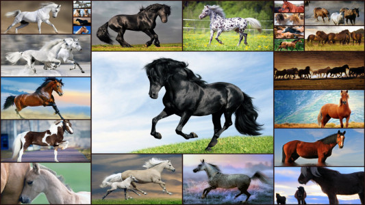 اسکرین شات بازی Horse Jigsaw Puzzles Game Kids 1