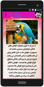 اسکرین شات برنامه آموزش پرورش پرندگان 4