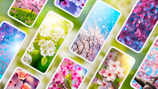 اسکرین شات برنامه Spring Wallpapers 4K 1