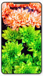 اسکرین شات 3 برنامه Flower Wallpaper-7